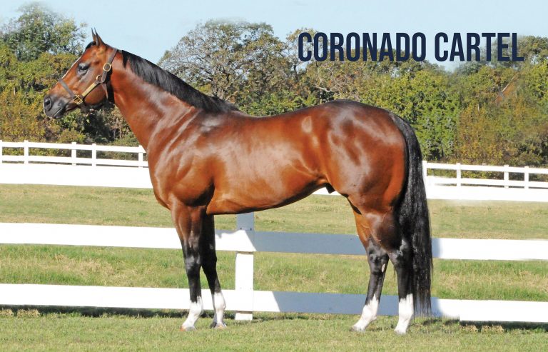 BG_24_ST_LazyE_Coronado Cartel (1)